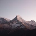 pecesquevuelan avatar