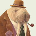 peculiarwalrus avatar