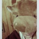 pedazitodemundo avatar