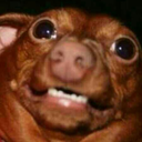 pedodog6969-blog avatar