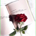 pedrinhadebrilhante avatar