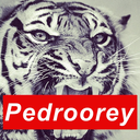 pedroorey avatar