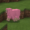 peenksheep avatar