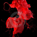 peetnissneyokang avatar