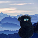 peets-n-beaks avatar