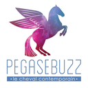 pegasebuzz avatar