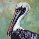 pelicanantics avatar