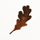 pen-pal-ideas avatar