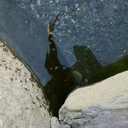 penasdealambre avatar