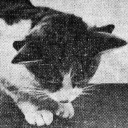 pendolinopowers avatar