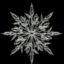 penelope-penelope avatar