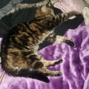 penelope3008-blog avatar