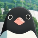 pengino avatar