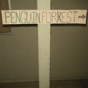 penguinforest-blog-blog avatar