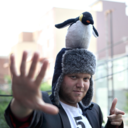 penguinhats avatar