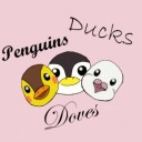 penguinsducksdoves avatar