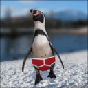 penguinsinmypants-blog-blog avatar