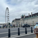 penguinsinparadise avatar