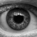 pennerspictures avatar