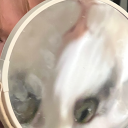 penniesinthealley avatar