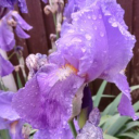 pennink-witch avatar