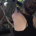 pennsylvania-sugar avatar