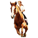 pennyandpatriot avatar