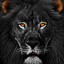 pensamentodeumnoia avatar