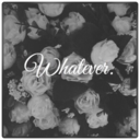 pensamientos-sentimientos avatar