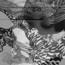 pensamientosflorales avatar