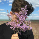 penypineapple-blog avatar