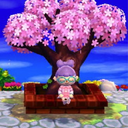 peonycrossingnewleaf avatar