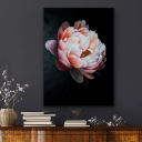 peonyprincess125 avatar