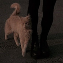 peoplearesodepressed-blog avatar