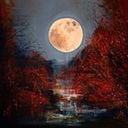 peoplecomeandgo2 avatar