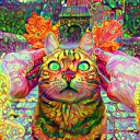 peopleforc137 avatar