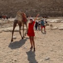 peoplenevercare13 avatar