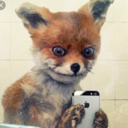 peperuno-i-think avatar