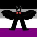 peppered-moths avatar