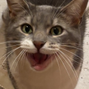 pepperonipie33 avatar