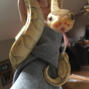 pepperthesnek avatar