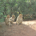 peppymint1986 avatar