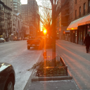 pepsi-dumpster avatar