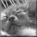 pepsiperson91 avatar