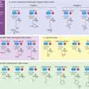 peptide-peddler avatar