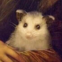 perasperaadpasta avatar