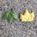 perception-1111 avatar