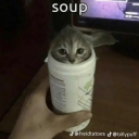 percyramblesaboutatla avatar