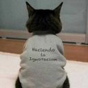 perderme-en-tus-ojos avatar