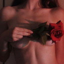 perdida-entre-libros-sg avatar